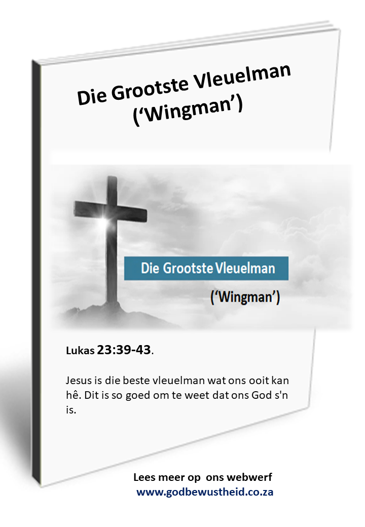 Die Grootste Vleuelman