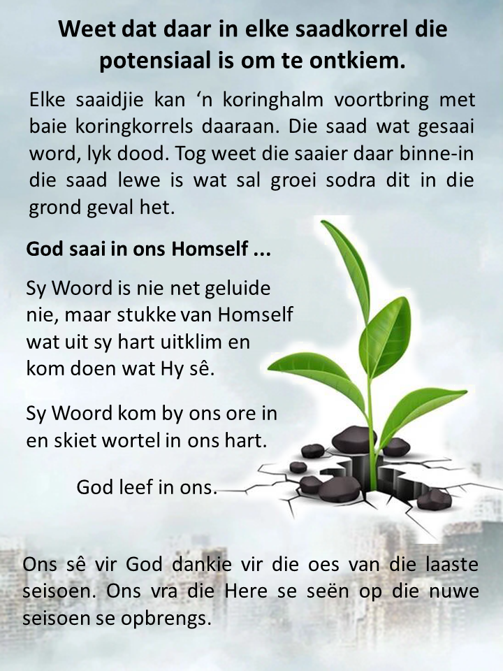Slide41