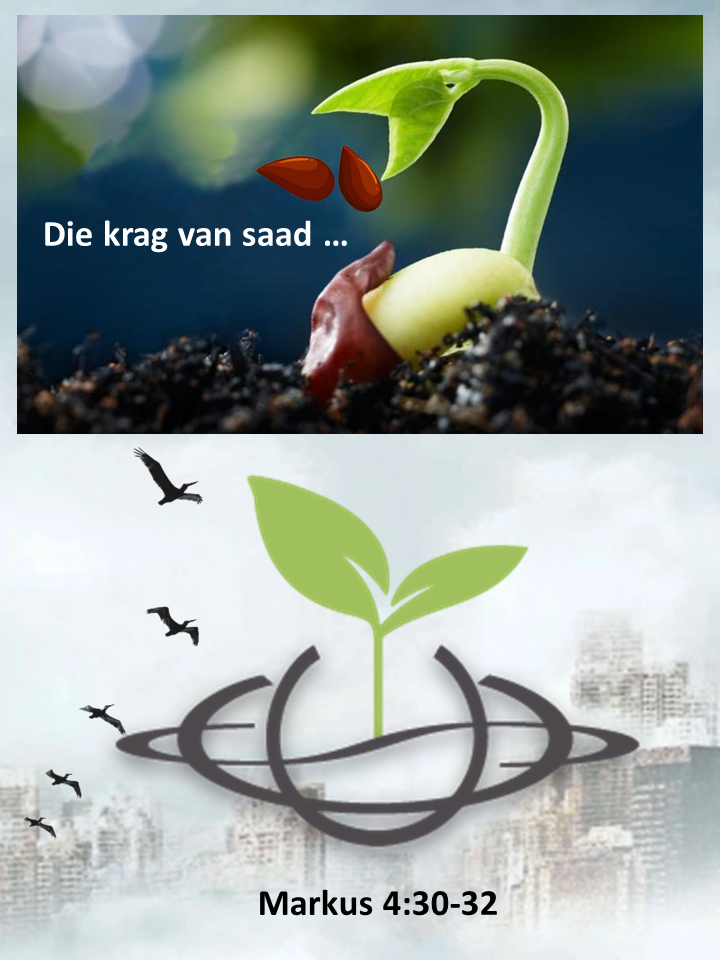 Slide6-1